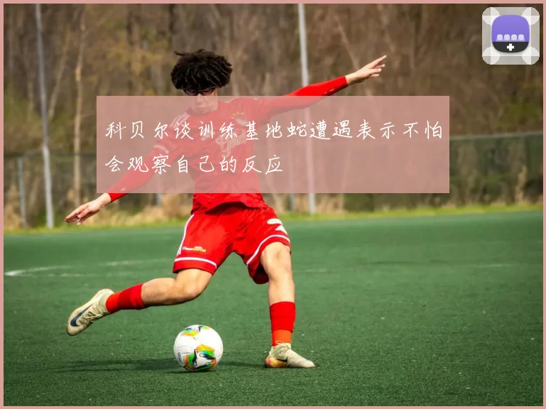科贝尔谈训练基地蛇遭遇表示不怕会观察自己的反应